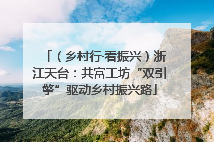 （乡村行·看振兴）浙江天台：共富工坊“双引擎”驱动乡村振兴路