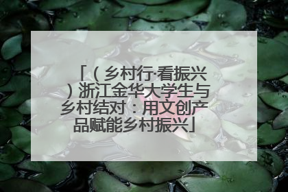 （乡村行·看振兴）浙江金华大学生与乡村结对：用文创产品赋能乡村振兴