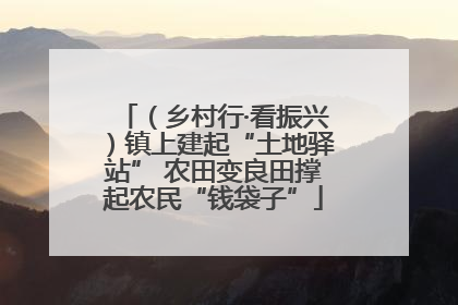 （乡村行·看振兴）镇上建起“土地驿站” 农田变良田撑起农民“钱袋子”