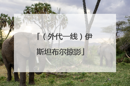 （外代一线）伊斯坦布尔掠影