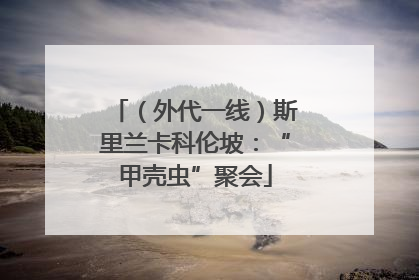 （外代一线）斯里兰卡科伦坡：“甲壳虫”聚会