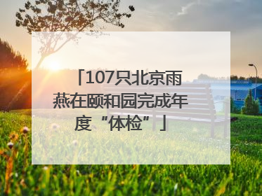 107只北京雨燕在颐和园完成年度“体检”