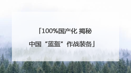 100%国产化 揭秘中国“蓝盔”作战装备