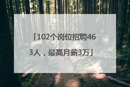 102个岗位招聘463人，最高月薪3万