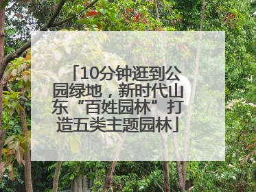 10分钟逛到公园绿地，新时代山东“百姓园林”打造五类主题园林