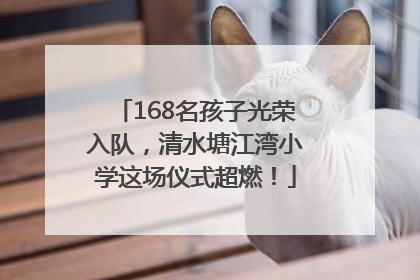 168名孩子光荣入队，清水塘江湾小学这场仪式超燃！