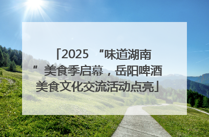 2025 “味道湖南”美食季启幕，岳阳啤酒美食文化交流活动点亮