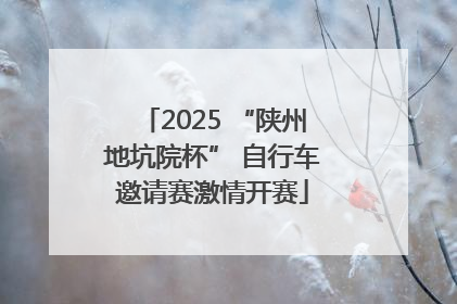 2025 “陕州地坑院杯” 自行车邀请赛激情开赛