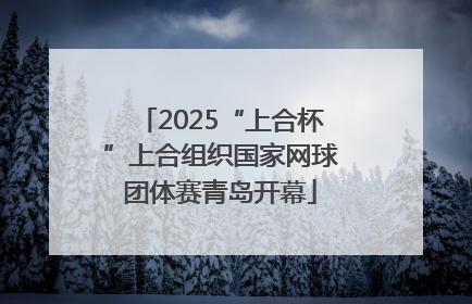 2025“上合杯”上合组织国家网球团体赛青岛开幕