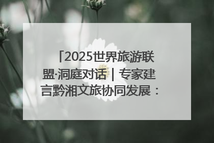 2025世界旅游联盟·洞庭对话｜专家建言黔湘文旅协同发展：聚焦产品稀缺性 深化区域经验共享