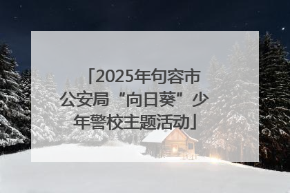 2025年句容市公安局“向日葵”少年警校主题活动