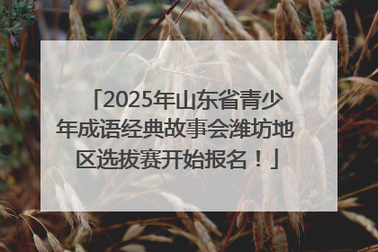 2025年山东省青少年成语经典故事会潍坊地区选拔赛开始报名！