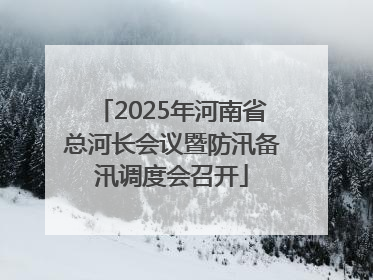 2025年河南省总河长会议暨防汛备汛调度会召开