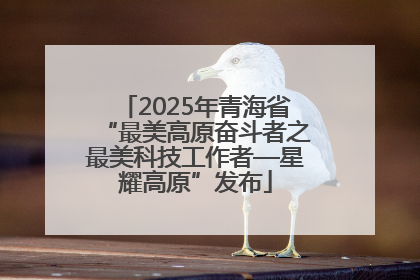 2025年青海省“最美高原奋斗者之最美科技工作者—星耀高原”发布
