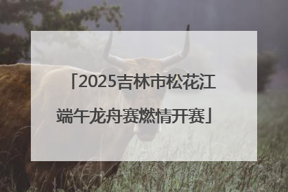 2025吉林市松花江端午龙舟赛燃情开赛