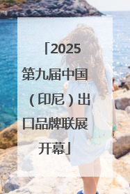 2025第九届中国（印尼）出口品牌联展开幕