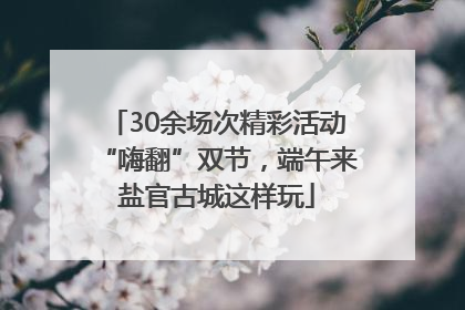 30余场次精彩活动“嗨翻”双节，端午来盐官古城这样玩