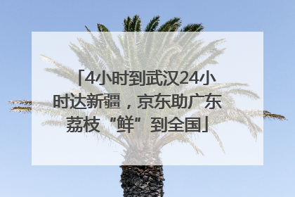 4小时到武汉24小时达新疆，京东助广东荔枝“鲜”到全国