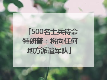 500名士兵待命 特朗普：将向任何地方派遣军队
