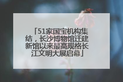 51家国宝机构集结，长沙博物馆迁建新馆以来最高规格长江文明大展启幕