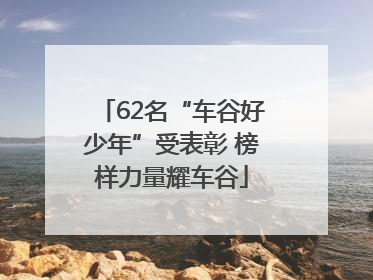 62名“车谷好少年”受表彰 榜样力量耀车谷