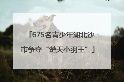 675名青少年湖北沙市争夺“楚天小羽王”