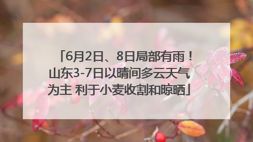 6月2日、8日局部有雨！山东3-7日以晴间多云天气为主 利于小麦收割和晾晒
