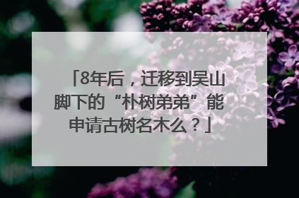 8年后，迁移到吴山脚下的“朴树弟弟”能申请古树名木么？