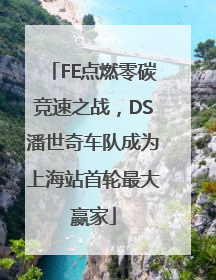 FE点燃零碳竞速之战，DS潘世奇车队成为上海站首轮最大赢家