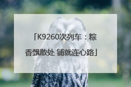 K9260次列车：粽香飘散处 铺就连心路