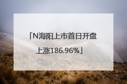 N海阳上市首日开盘上涨186.96%